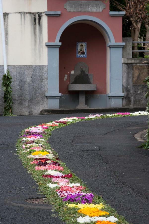Antonella Home Funchal Eksteriør billede